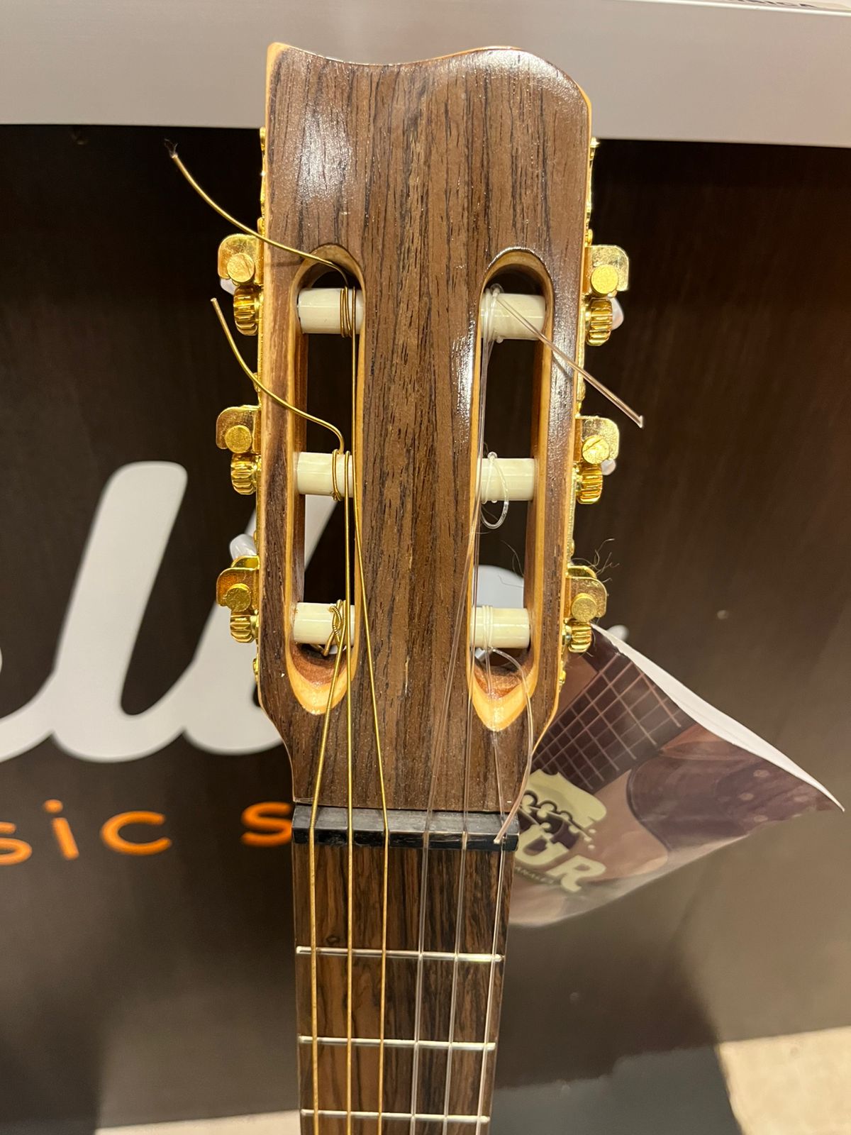 Guitarra criolla artesanal EQUR 4/4 7.0NOGAL - Image 4